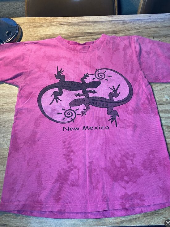 Tops - 1990s vintage New Mexico t-shirt